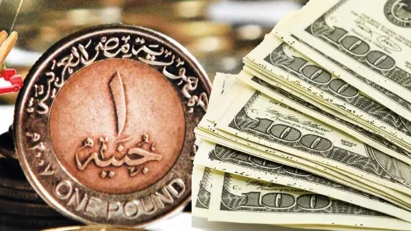 عايز تعرف سعر الدولار النهاردة؟.. جولة سريعة في البنوك المصرية