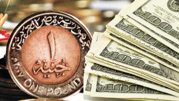 عايز تعرف سعر الدولار النهاردة؟.. جولة سريعة في البنوك المصرية