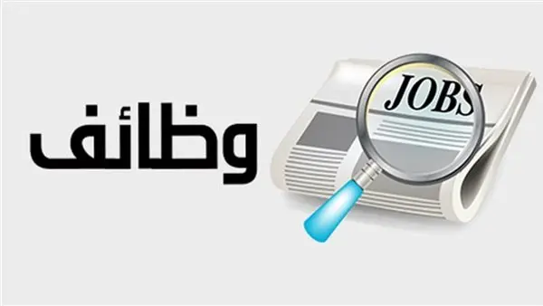 وظائف ديوان محافظة الإسماعيلية: دليلك الكامل للتقديم والقبول