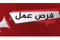 وظائف محطة الضبعة النووية 2024: قدم الآن على 4210 فرصة عمل برواتب تصل لـ 35 ألف جنيه