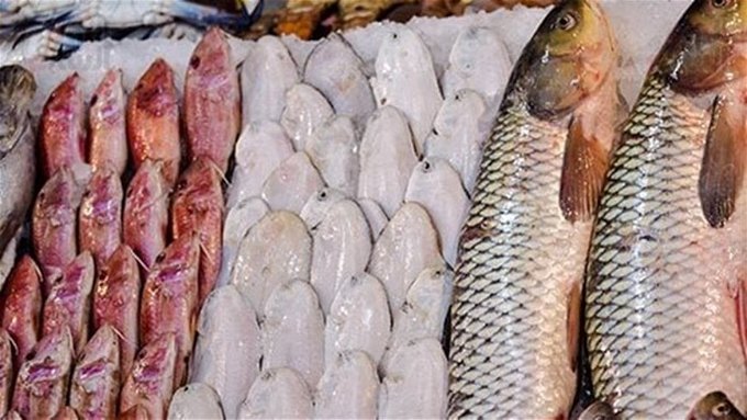 أسعار السمك اليوم في سوق العبور.. البلطي والبوري والجمبري انخفضوا 