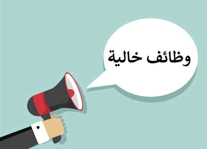 وزارة الشباب تعلن عن وظائف خالية جديدة.. السن حتى 45 عاما - افاق عربية 