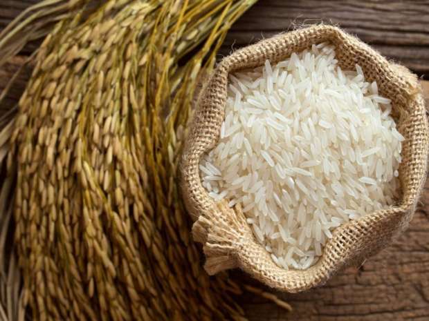 سعر الأرز الشعير اليوم الإثنين 29 يناير