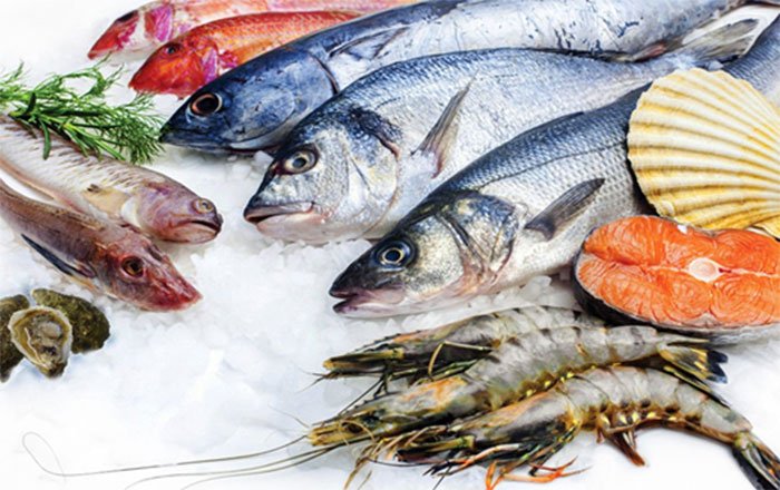 أسعار الأسماك والجمبرى اليوم الأربعاء 28 فبراير 2024.. الدنيس بـ 240 جنيها 