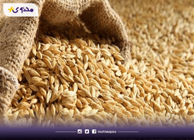 سعر الأرز الشعير اليوم السبت 13 أبريل