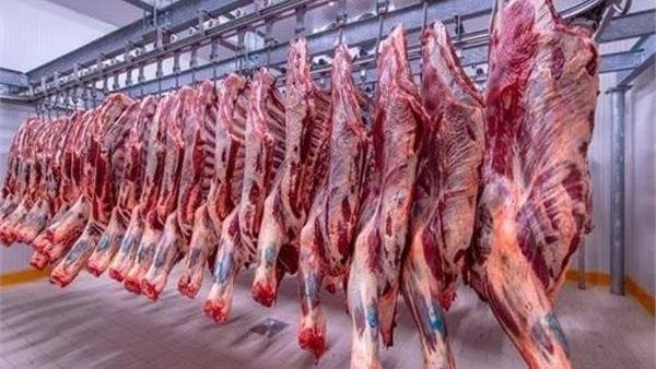 انخفاض أسعار اللحوم البلدية 30%.. ومذكرة لوزير الزراعة بإغلاق المجازر 3 أيام أسبوعيًا 