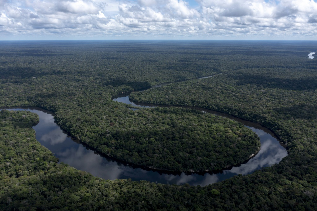 إزالة الغابات في الأمازون البرازيلية خلال أول شهرين من العام في أدنى مستوى منذ 2018
