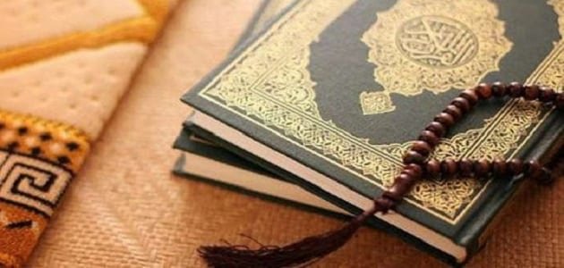 ما حكم قراءة القرآن الكريم دون وضوء.. دار الإفتاء توضح الإجابة 