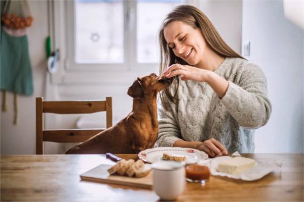 ..لمحبي الحيوانات الأليفة.. 4 نصائح مفيدة لتعزيز صحة كلبك..تفاصيل 