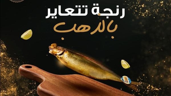 رنجة أبو السيد تريند مواقع التواصل الاجتماعي بسبب لونها.. تتعاير بالذهب منوعات لايت 