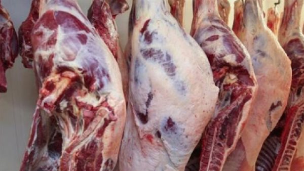 أسعار اللحوم اليوم الأحد 14 أبريل 2024.. الكندوز 230 جنيهًا 
