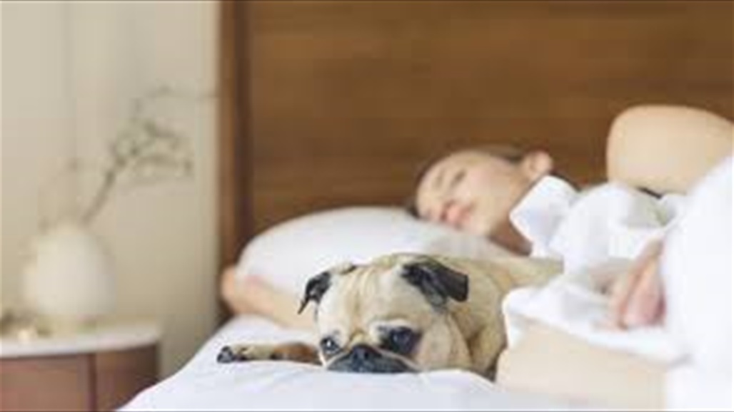 القطط او الكلاب.. هل تؤثر مشاركة السرير مع حيوان أليف على نوم؟ ...العراق 