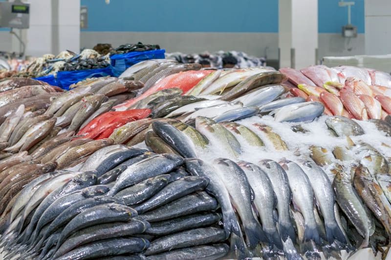 إرشادات لأصحاب المنشآت الغذائية المتخصصة في تجارة الأسماك المملحة
