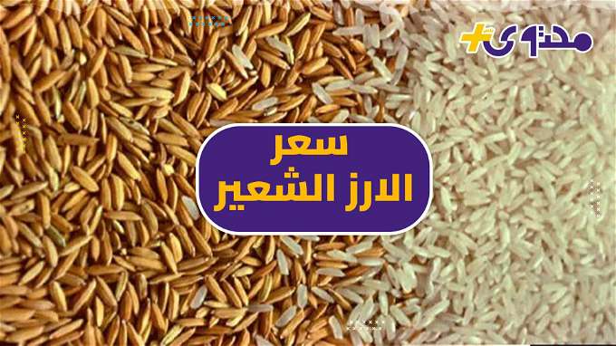 سعر الأرز الشعير اليوم السبت 13 أبريل.. مفاجأة جديدة لطن رفيع الحبة - افاق عربية 