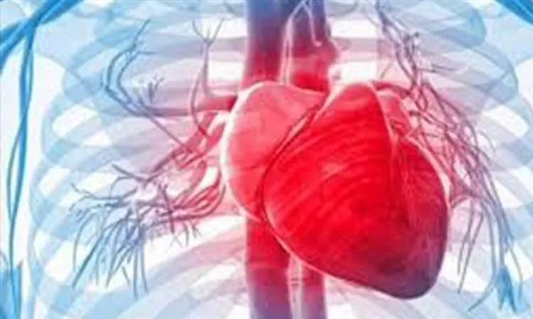 أستاذ أمراض القلب: الاكتشاف المبكر لضعف عضلة القلب يسهل العلاج