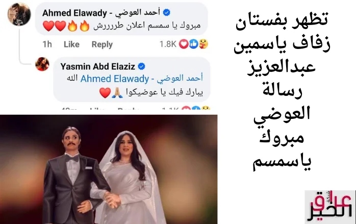 تظهر بفستان زفاف ياسمين عبدالعزيز رسالة العوضي مبروك ياسمسم 