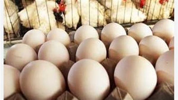أسعار البيض تواصل الصعود.. وهذه قيمة الطبق الآن في الأسواق